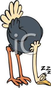 175x300 A Sleeping Ostrich Clip Art Image
