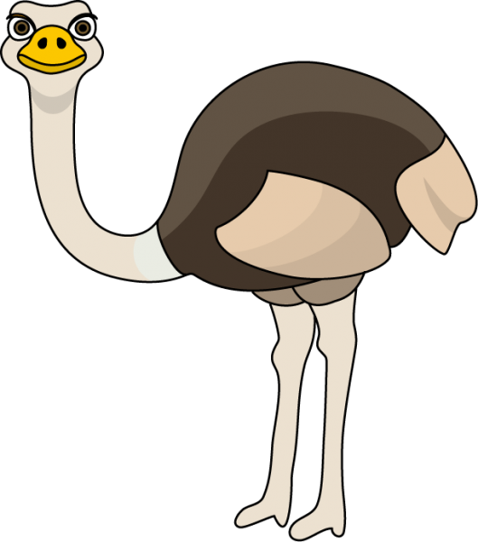 529x600 Ostrich Clipart 9 Nice Clip Art