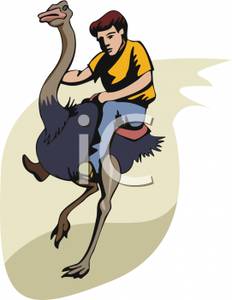 232x300 Royalty Free Clipart Image A Man Riding An Ostrich