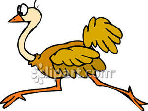 300x226 Running Cartoon Ostrich