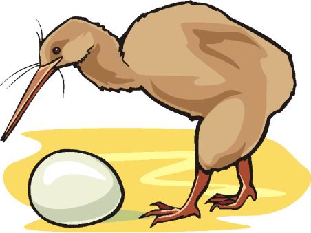 452x339 Ostriches Animated Images, Gifs, Pictures Amp Animations