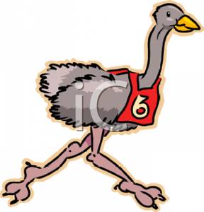 288x300 An Ostrich Running In A Race