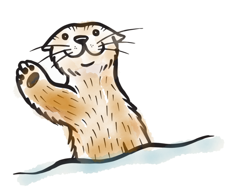 800x664 Sea Otter Clipart Transparent
