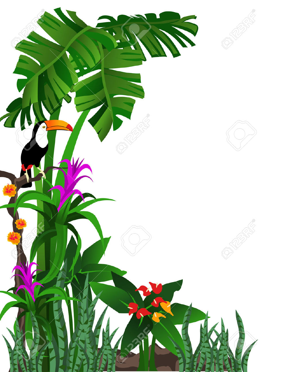1067x1300 Tropical Rainforest Clipart Clipartlook