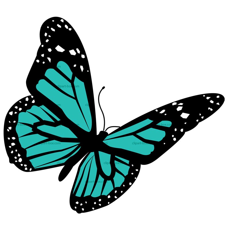 800x800 Butterfly Design Clipart Clip Art Library Designs