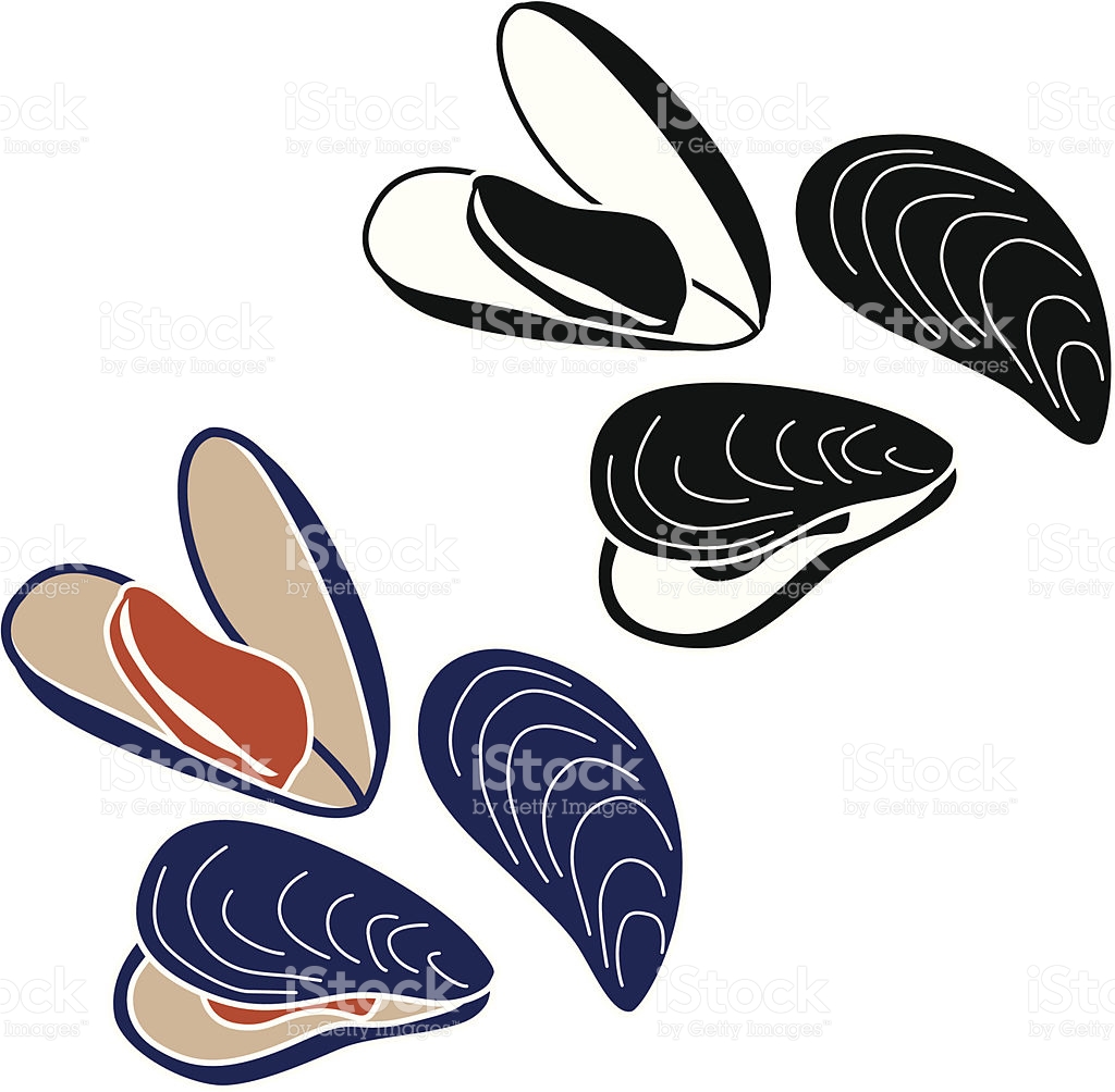 1024x1004 Mussels Clipart