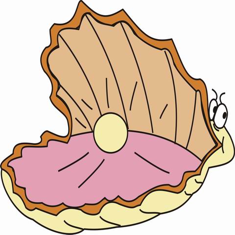480x480 Pearl Clipart Oyster Drawing