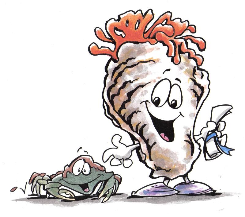 800x707 Recycling Oyster Shells Really