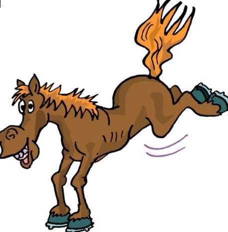 457x465 Horse Photo Finish Clip Art