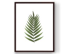 236x188 Palm Branch Image Free Cliparts That You Can Download To You