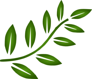 298x255 Branch Clipart