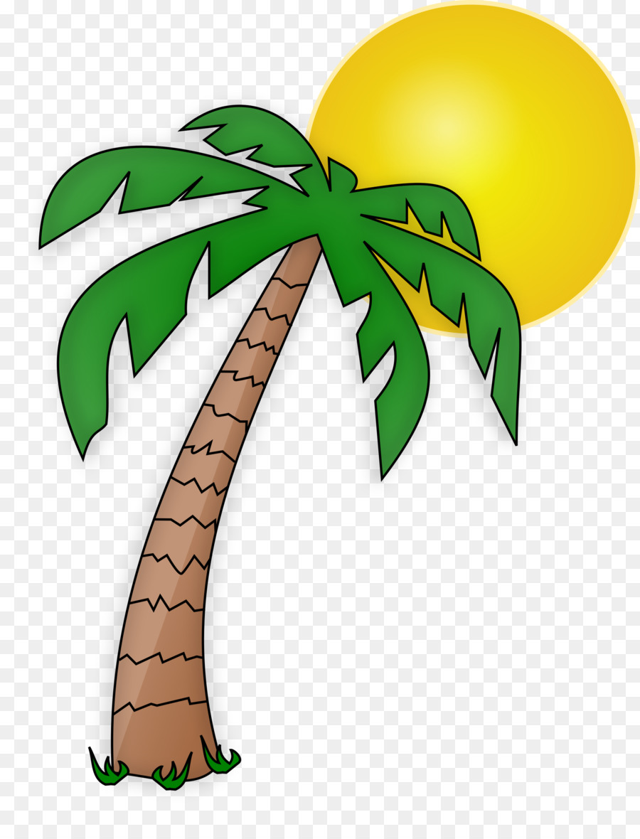 900x1180 Arecaceae Drawing Tree Cartoon Clip Art