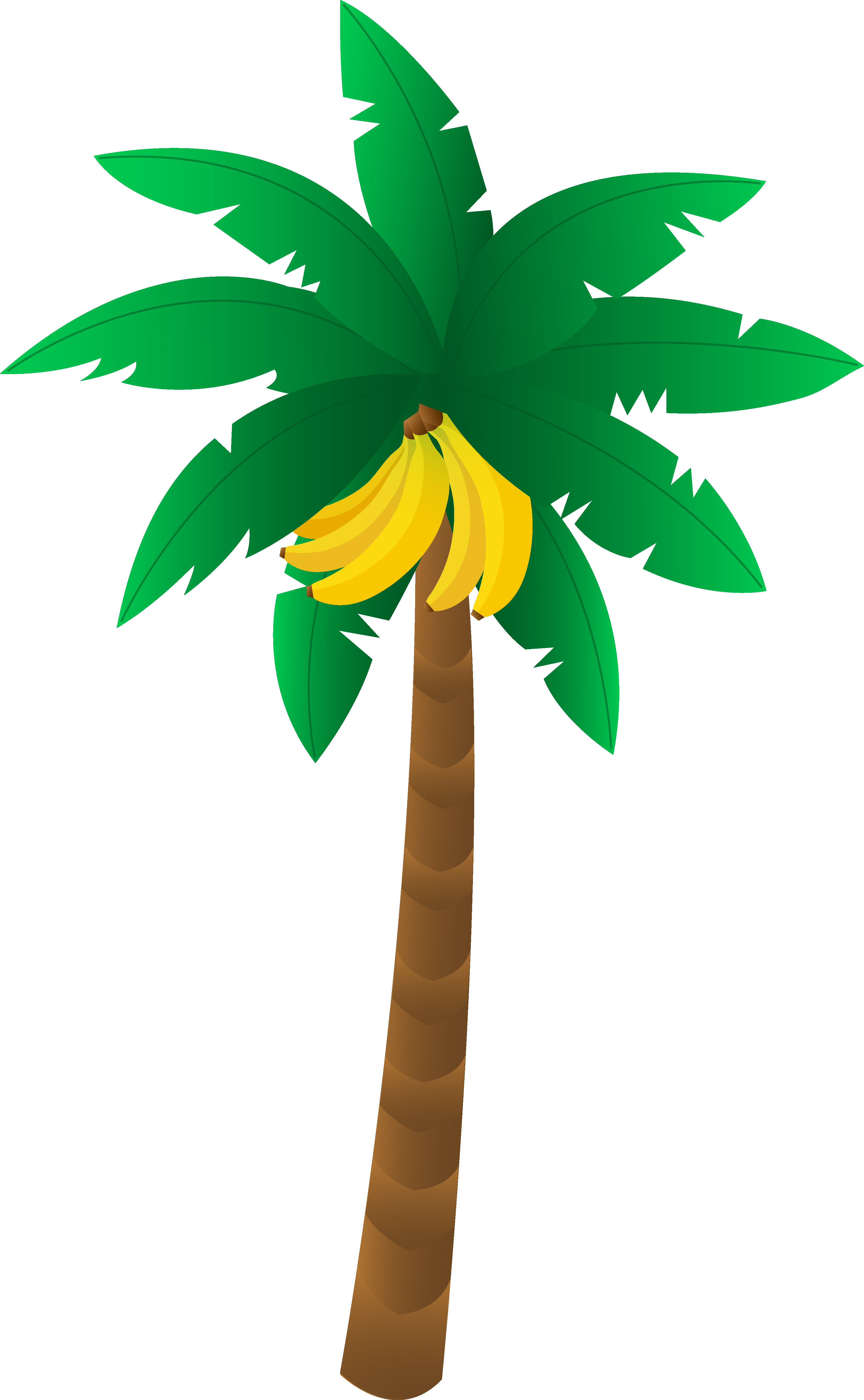 3305x5359 Banana Tree Clipart Tropical Free Clip Art