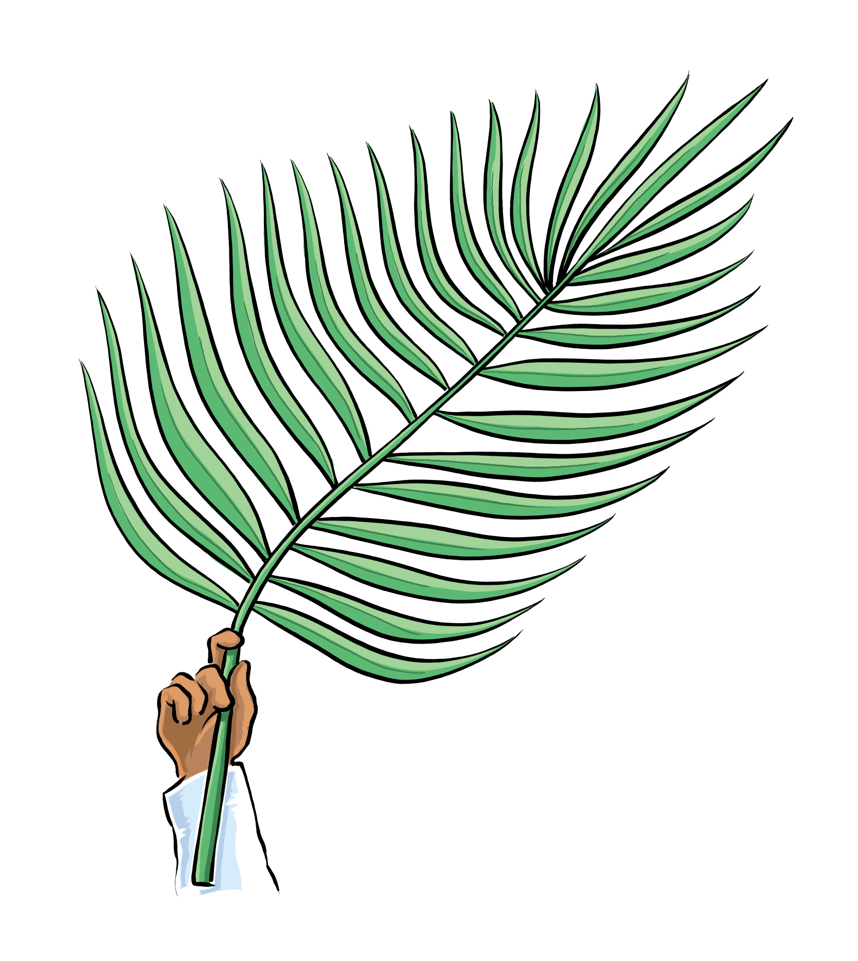 1668x1868 Clip Art Palm Leaf Clip Art