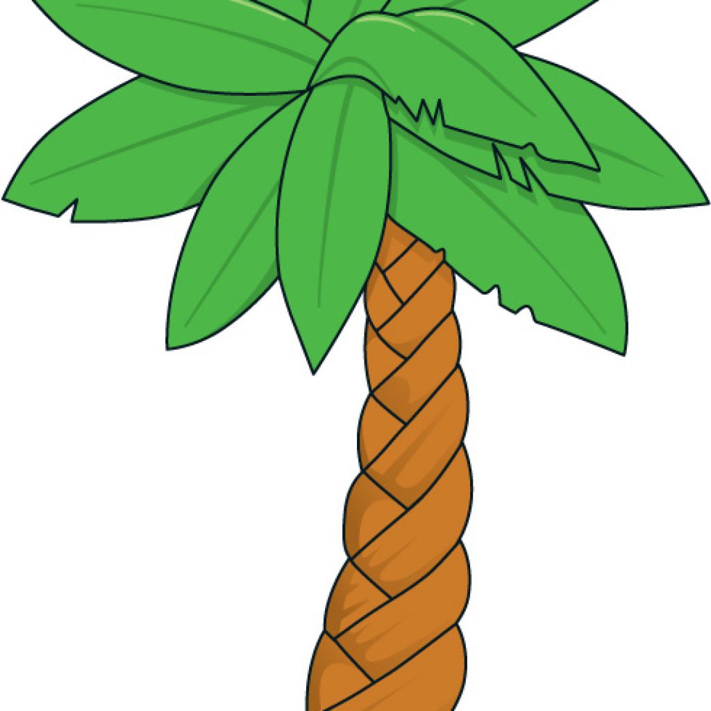 1024x1024 Palm Clipart Balloon Clipart
