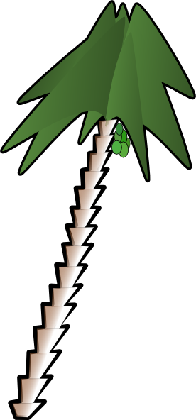 276x592 Leaning Palm Tree Clip Art Free Vector 4vector