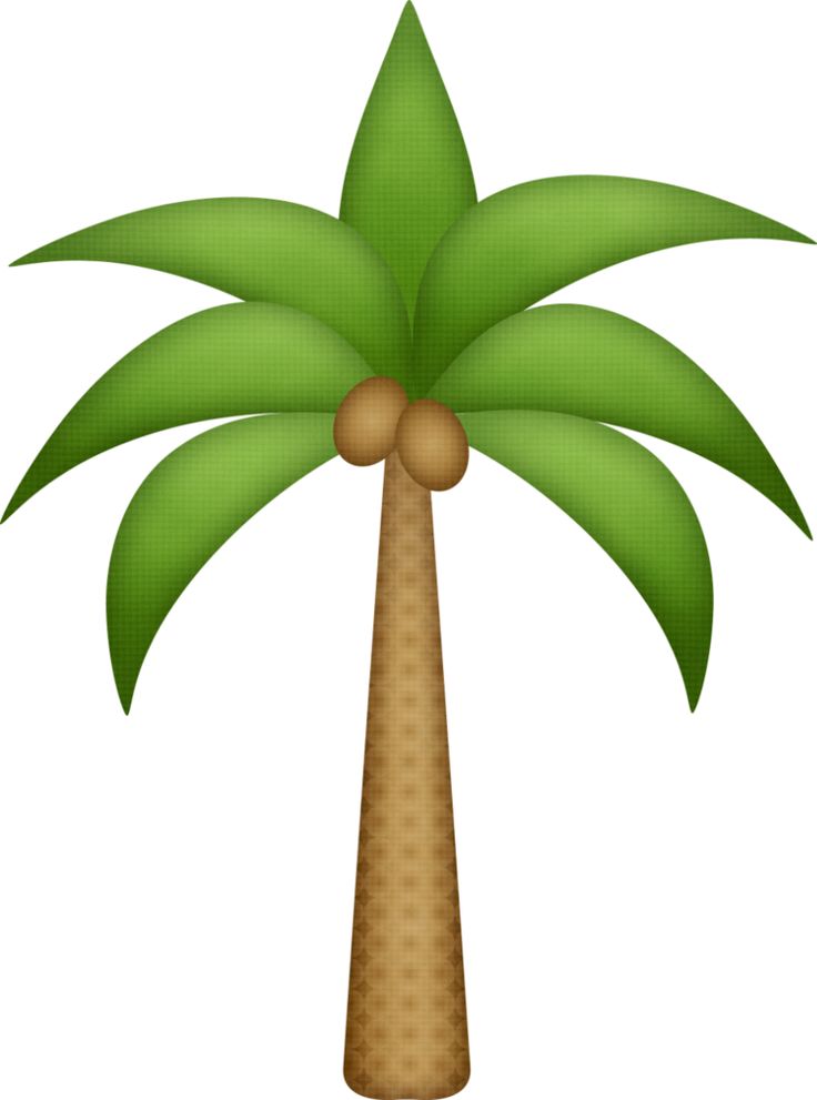 736x991 29 Best Palm Tree Clip Art Images On Palm Trees, Palms