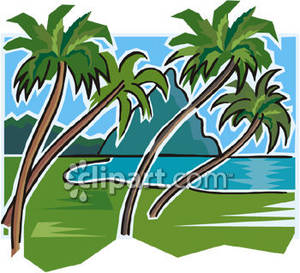 300x273 Palm Tree Beach Clip Art