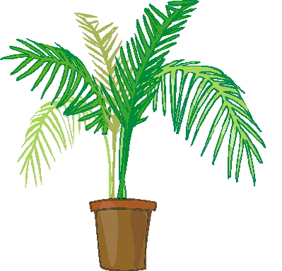 399x384 Palm Tree Clip Art Flowers And Plants