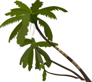 300x267 Palm Tree Clip Art
