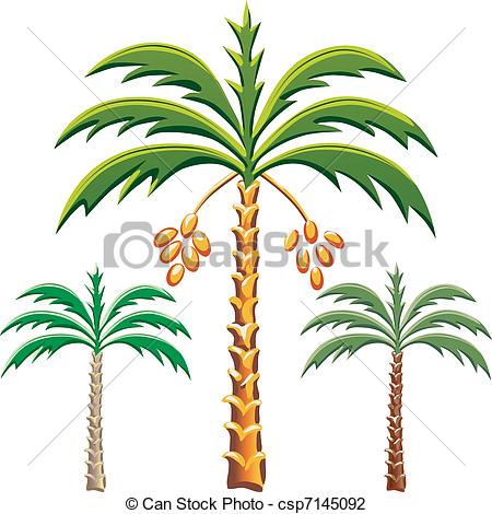 450x470 Palm Tree Drawings Clipart Palm Tree Leaves Black And White