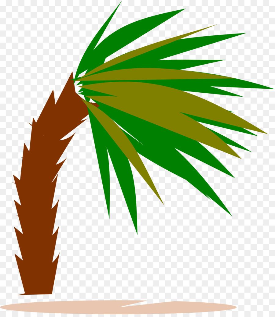 900x1040 Arecaceae Tree Wind Clip Art