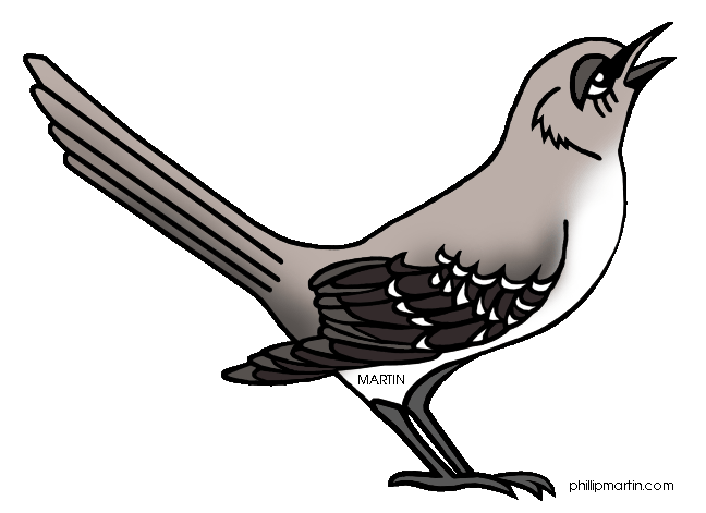 648x471 Clip Art Mocking Bird Mockingbird Clipart Panda Free Images