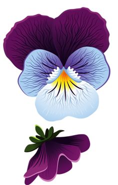 236x371 Pansy