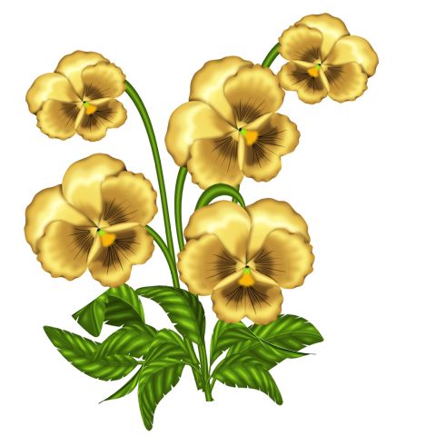 480x480 359 Best Clip Art Flowers!