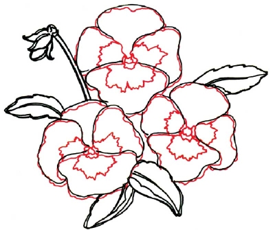400x335 Pansy Clipart Outline