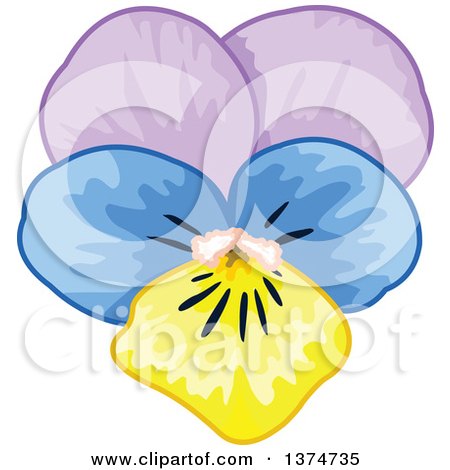 450x470 Royalty Free (Rf) Pansy Clipart, Illustrations, Vector Graphics