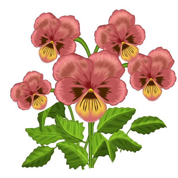 600x600 Science Flower Cliparts 255639