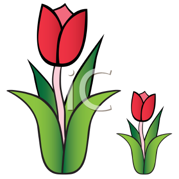 350x350 Tulip Border Clipart