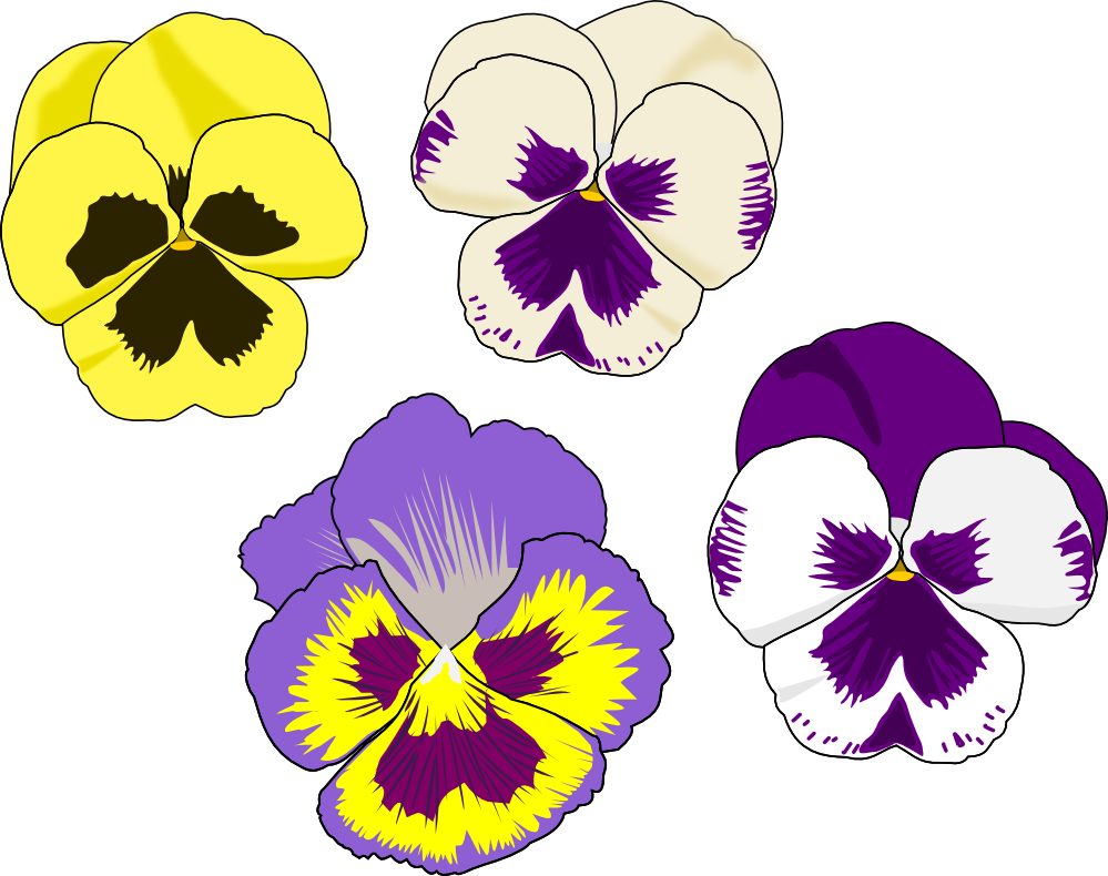 999x790 Pansy Flower Clipart
