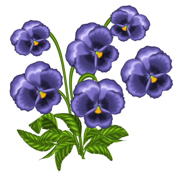 600x600 0 85b62 3b6c72b0 Orig Fise Flower Pictures