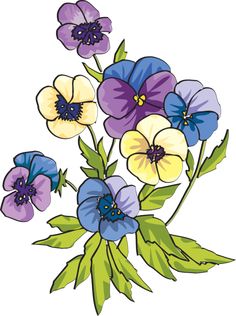 236x316 Pansy Clip Art