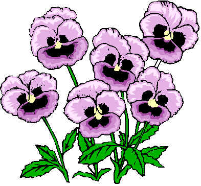 393x364 Pansy Flower Clip Art