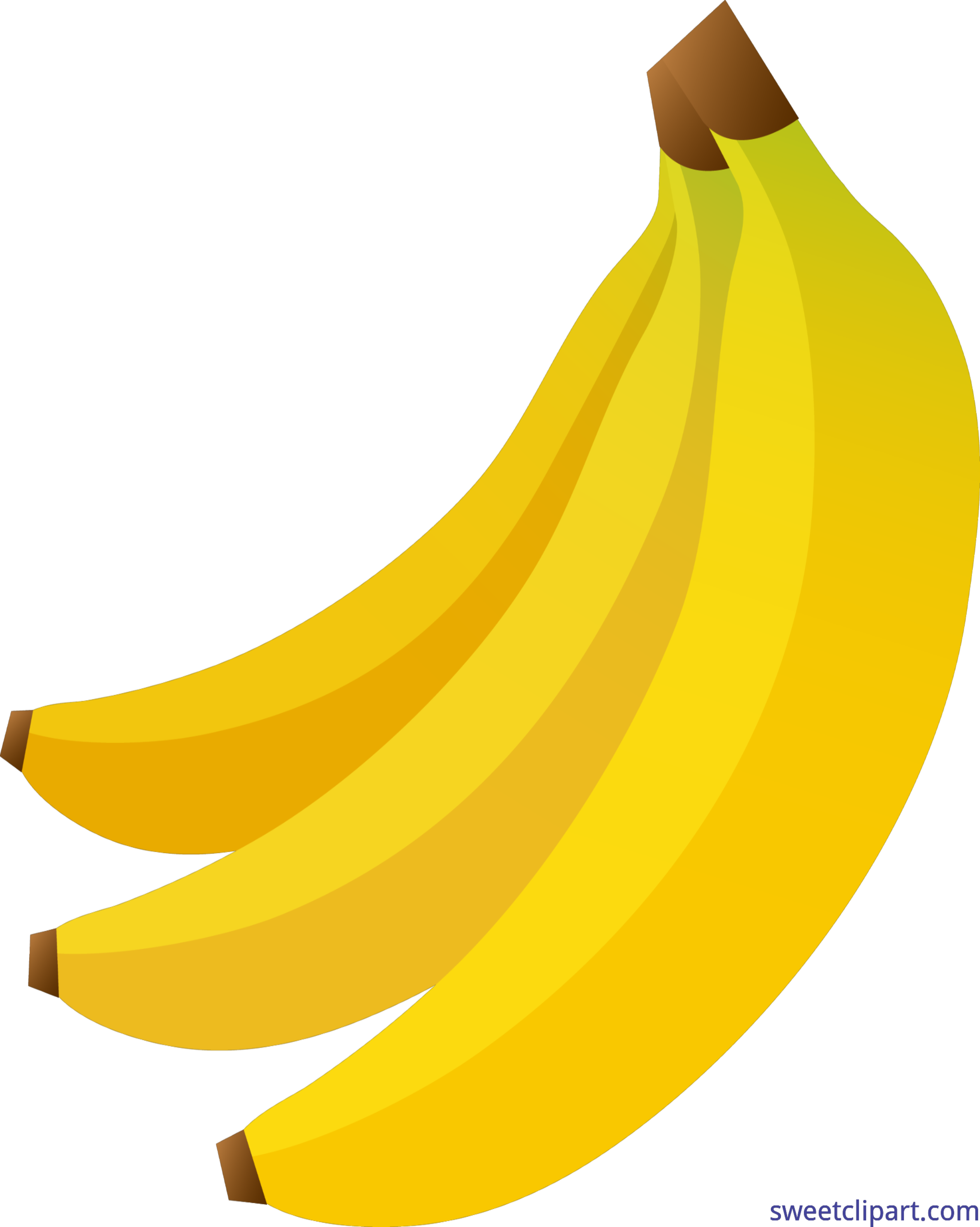 3596x4501 Papaya Clipart Banana Bunch Pencil And In Color Bananas