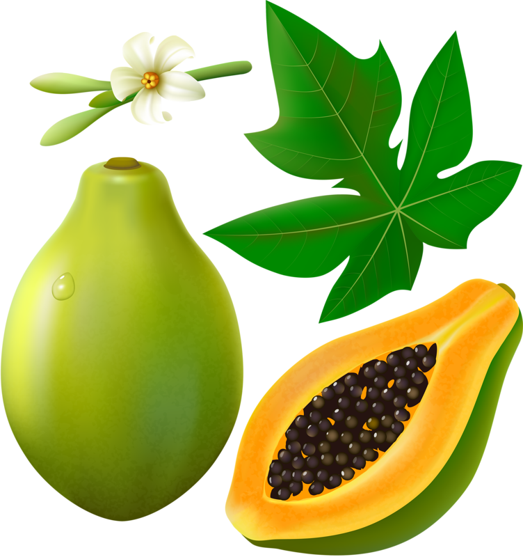 752x800 Papaya Fruits With Leaf And Flower On White Background