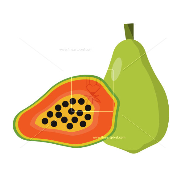 600x600 Papaya Illustration Free Vectors, Illustrations, Graphics