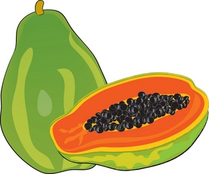 300x250 Pawpaw Clipart