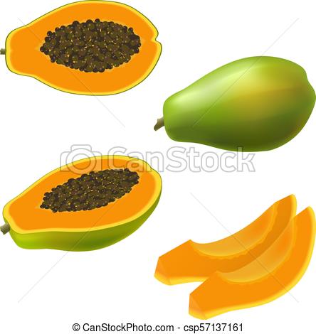 444x470 Set Of Isolated Colored Papaya, Pawpaw, Paw Paw Half With Clip