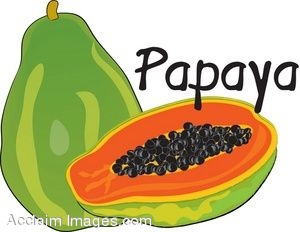 300x232 Clip Art Of A Papaya