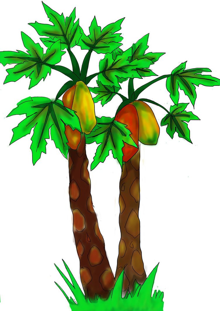 752x1063 Papaya's Tree By Yuu979chan