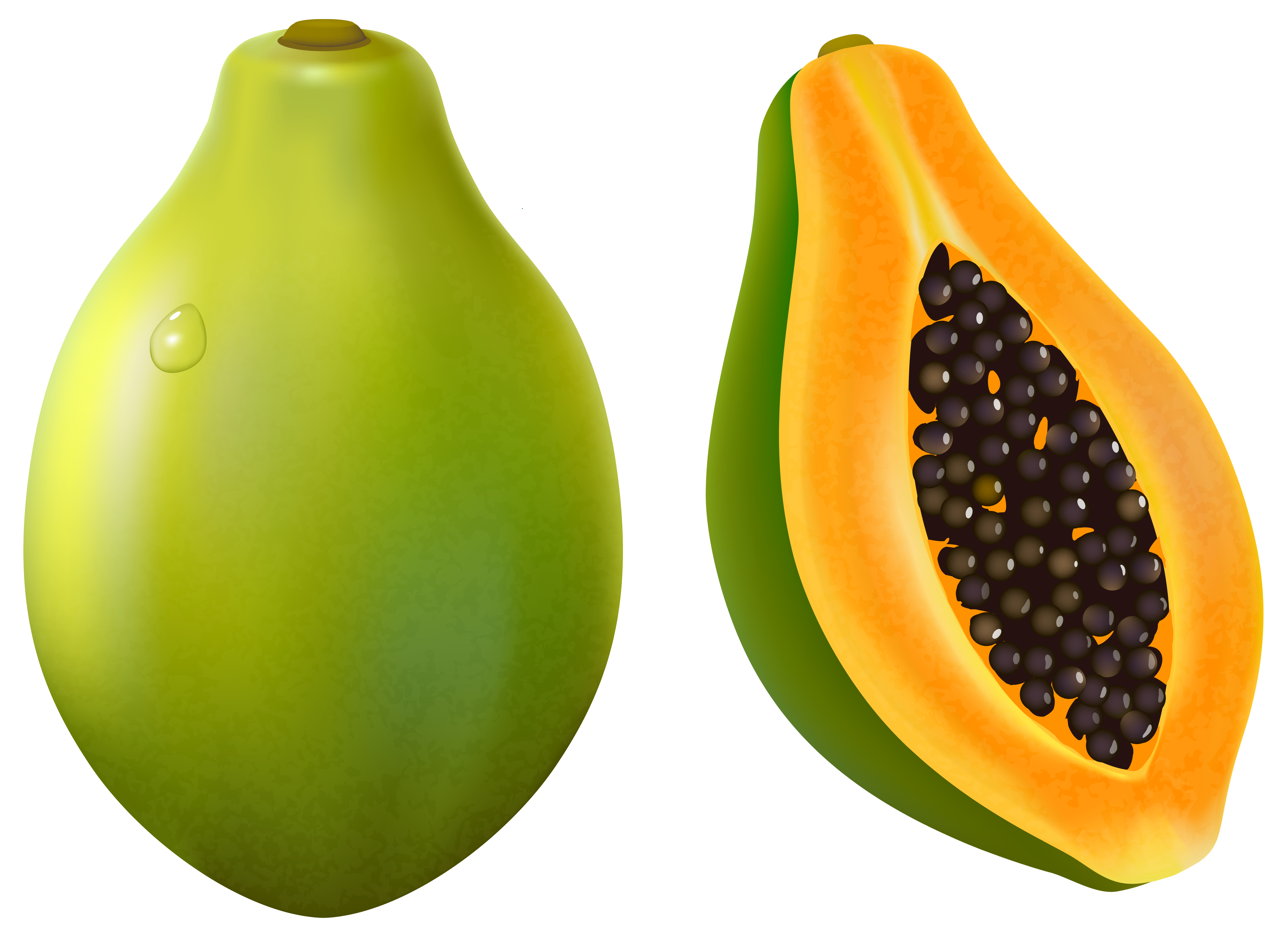 4981x3641 Papaya Png Vector Clipart Image Pintura Em Tecido Frutas