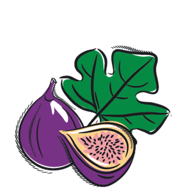 363x399 Papaya Clipart Green Coconut