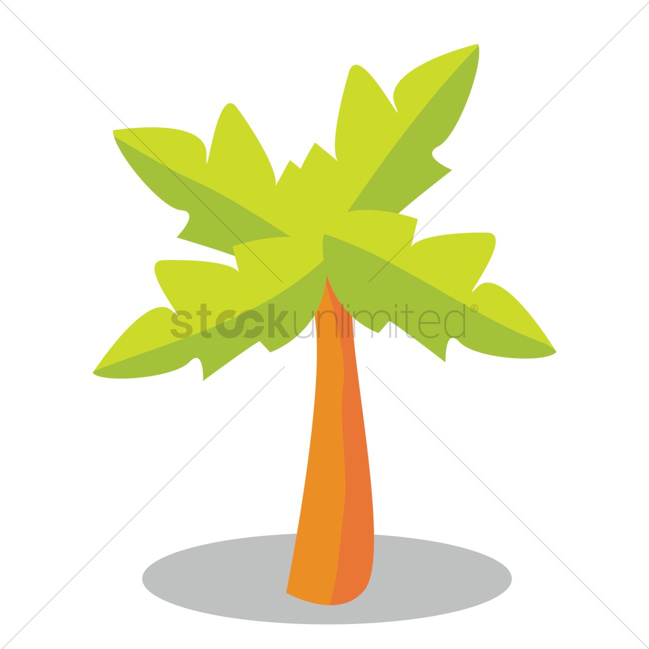 1300x1300 Papaya Tree Vector Image
