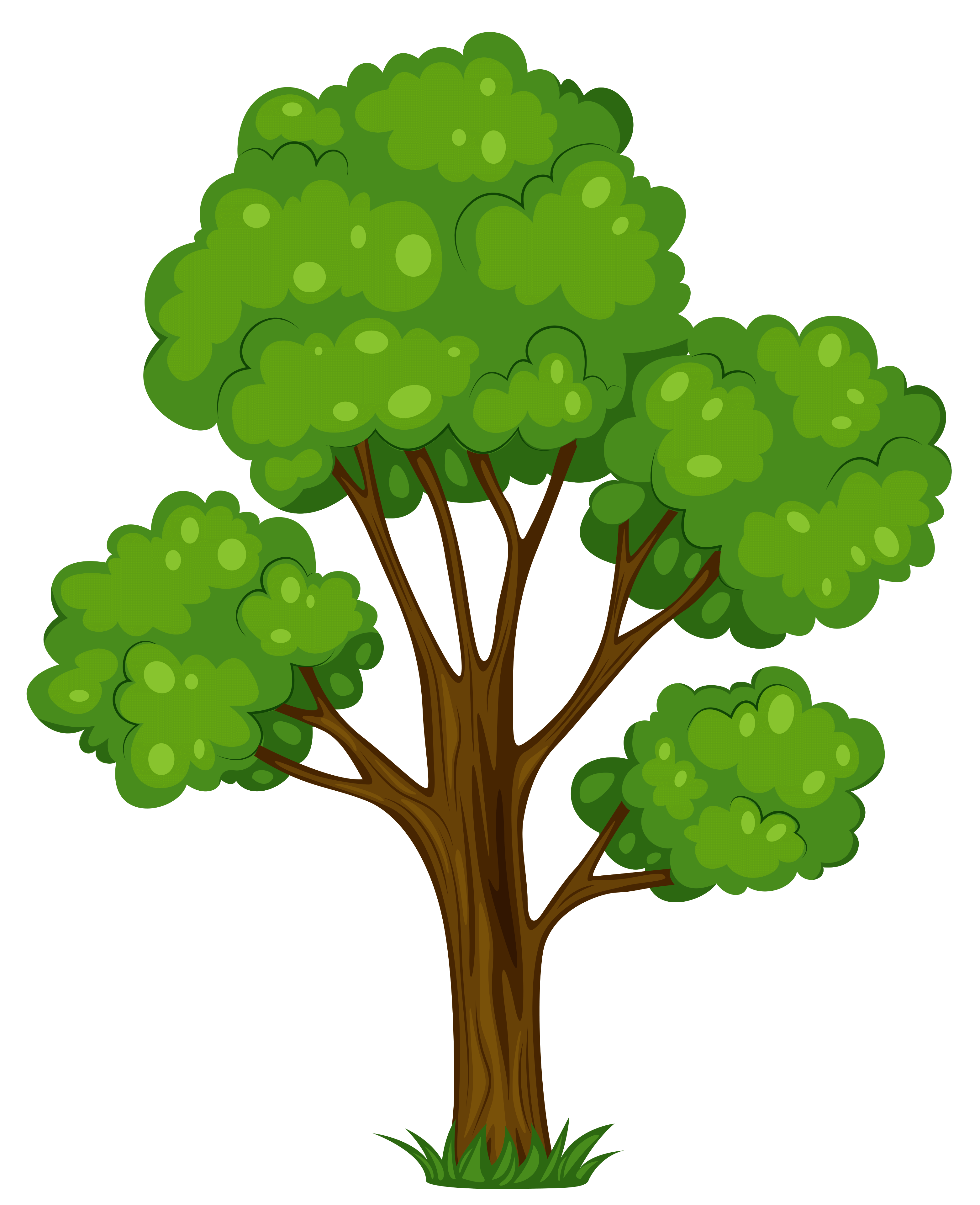 3126x3842 Avacado Tree Cliparts 175324