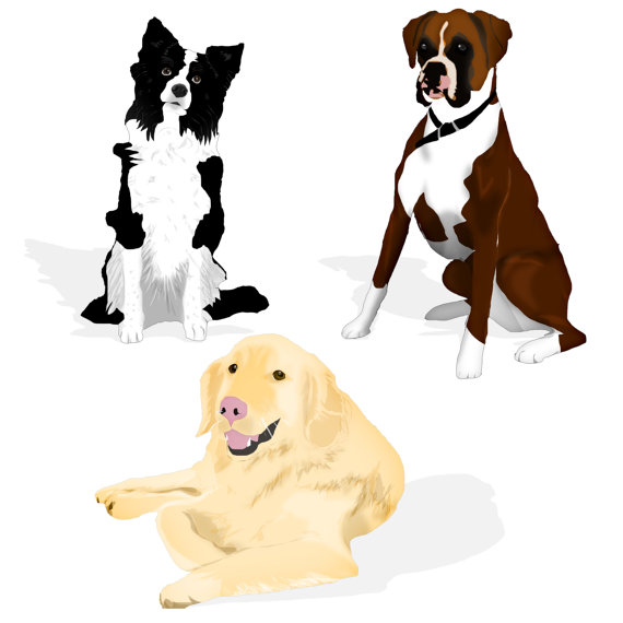 570x570 Commercial Use Instant Download Clip Art Dogs Border Collie
