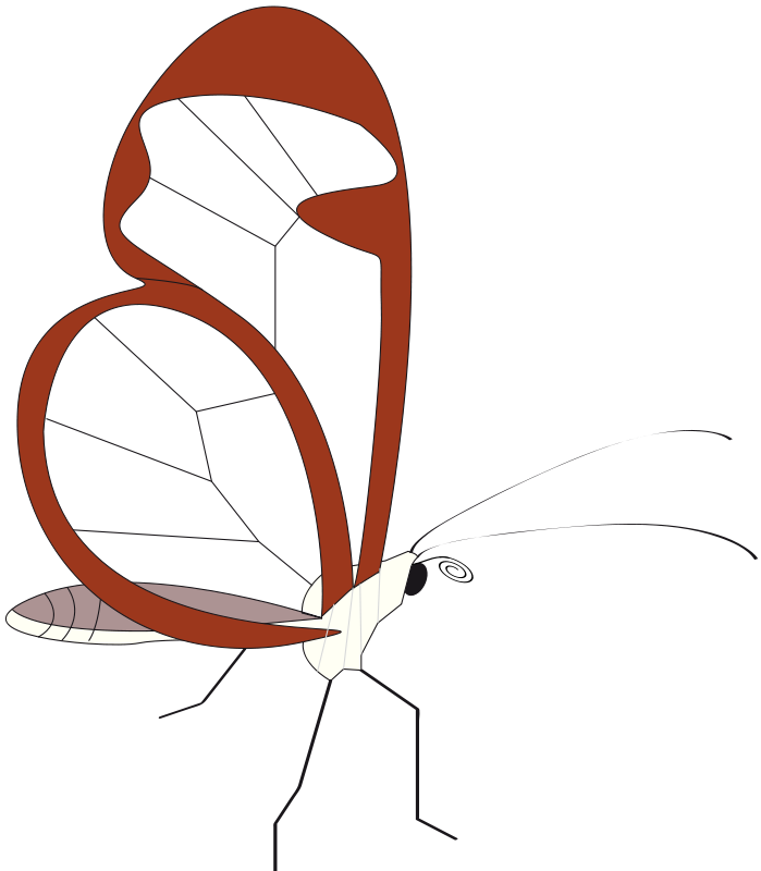 699x800 Free Clipart Butterfly Papillon Presquesage